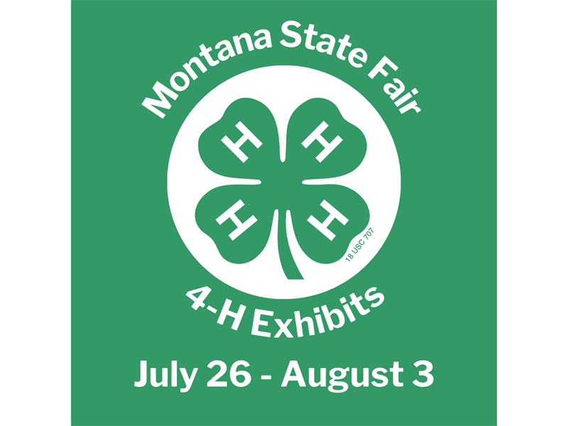 2024 Montana State Fair 4H Exhibits